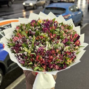 Букет из 51 альстромерии