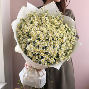 Букет из 25 ромашки