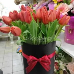 51 красных тюльпанов в коробке